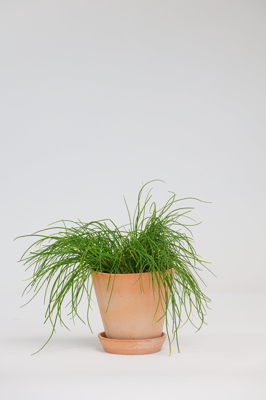 products/SotoProductShootLowQ-1713.jpg